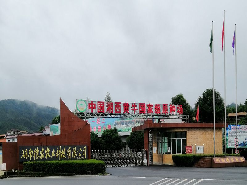 德农牧业集团臭氧设备安装完工